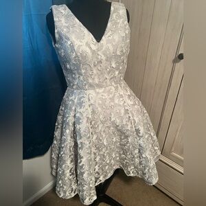 Silver Lace Overlay cocktail dress